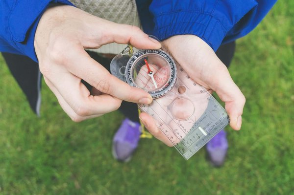 Comment explorer les forêts de séquoias géants en Californie de manière éco-responsable ?